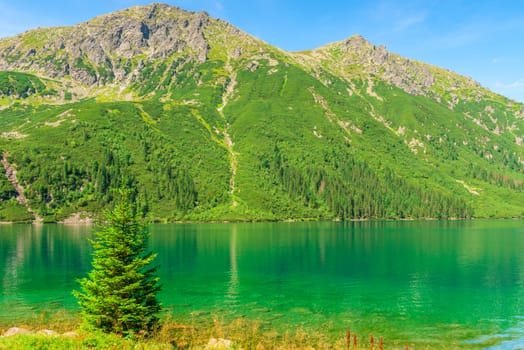 quiet beautiful mountain lake Morskie Oko in the summer sunny day