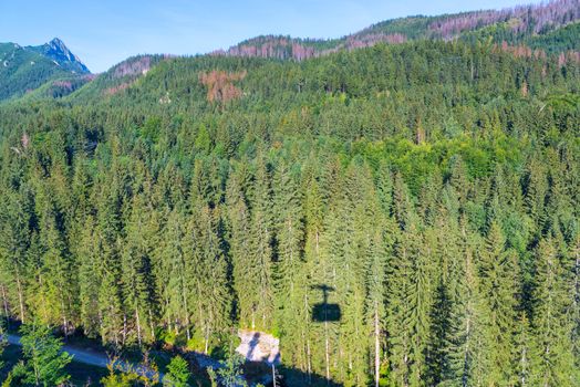 The shadow of the funicular cab on the background of a thick coniferous forest in the Tatra mountains, Poland