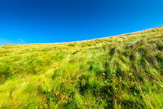 green slope of a mountain covered with grass against a blue sky background