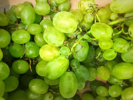 top view of fresh green grapes