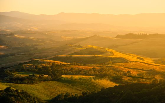 Evening in Tuscany. Hilly Tuscan landscape in golden mood at sunset time with silhouettes of cypresses and farm houses near Montaione, Italy.