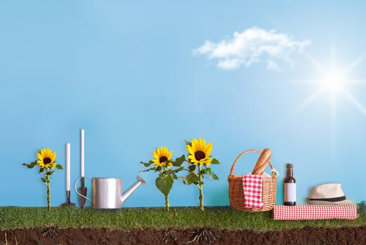 Summer garden with picnic basket on grass patch and sunflowers 