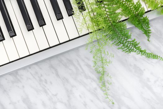 Sounds of nature. Electric piano keys and green fern leaves, on marble background.