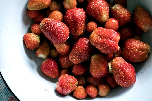 plate with red ripe Victoria top view