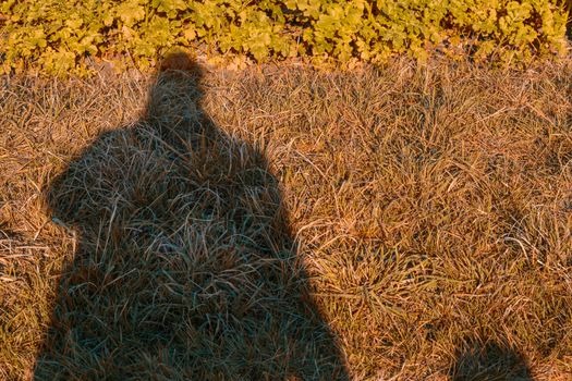 Black shadow of a man walking falls on a meadow and a field.