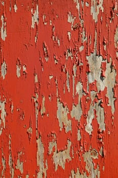 Close up background texture of red vintage weathered wooden rustic style wall with flakesof paint
