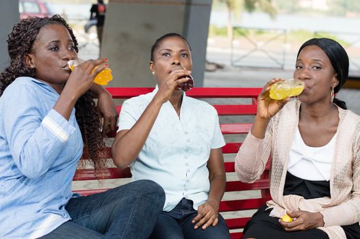 young women sitting  on a bench , share the beverage to drink.