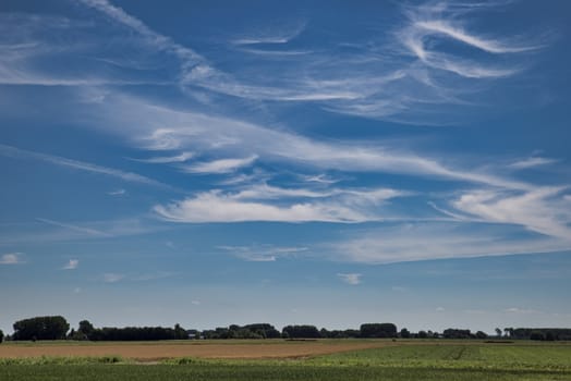 blue sky with clouds above a farm field with green gras en trees