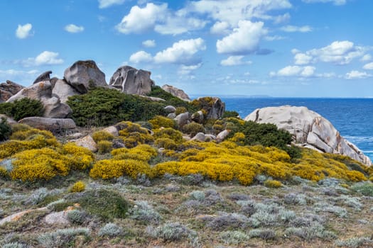 The Coastline at Capo Testa Sardinia