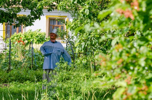Scarecrow in the garden to protect the crop