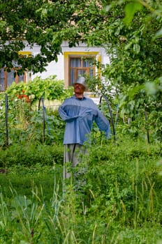 Scarecrow in the garden to protect the crop