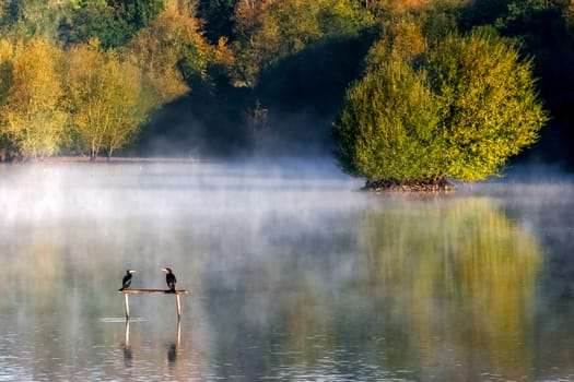 Early Morning at Weir Wood Reservoir