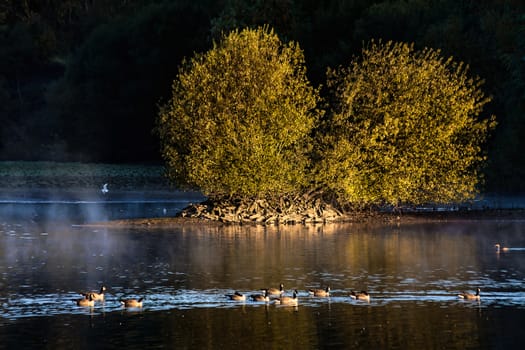 Early Morning at Weir Wood Reservoir