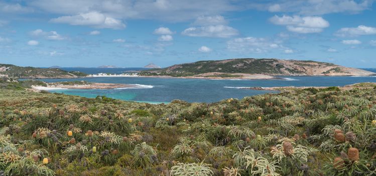 Panoramic view over the Little Wharton Beach on a summer day, one of the most beautiful places in the Cape Le Grand National Park, Western Australia