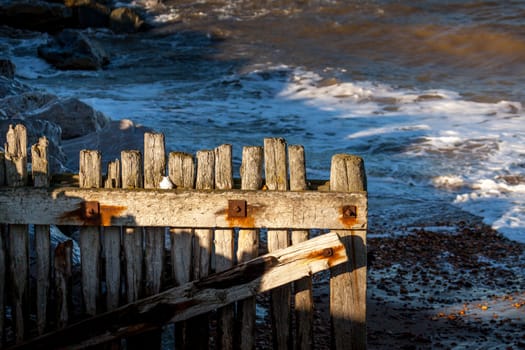 Reculver Sea Defences