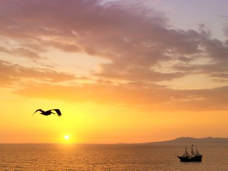 Puerto Vallarta, a resort town in Mexico, is famous by its beautiful sunsets. This is one of them, with a pelican flying above the Pacific, and a sail ship in the water.