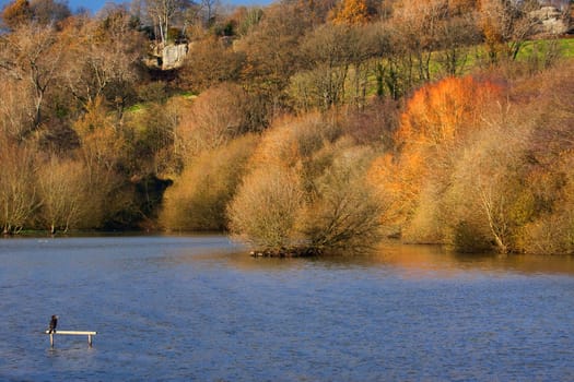 Weir Wood Reservoir