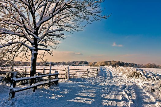 Winter Scene Near East Grinstead