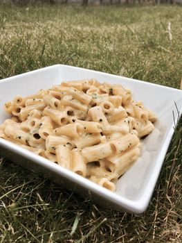 Delicious food in grass. Italian pasta with broccoli and chives.