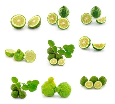 Kaffir Lime  on white background