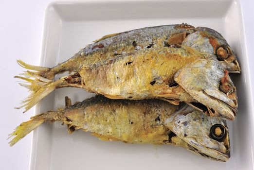  mackerel fish on the white plate