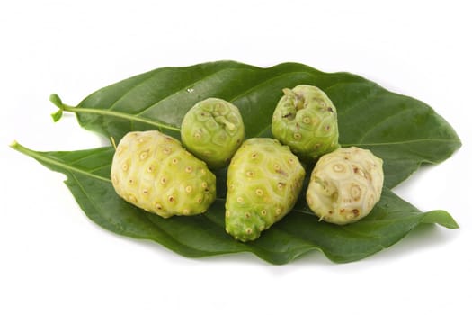 Noni fruits on white isolated background