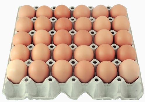 eggs in the package