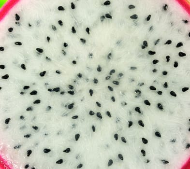 Close up of Dragon fruit