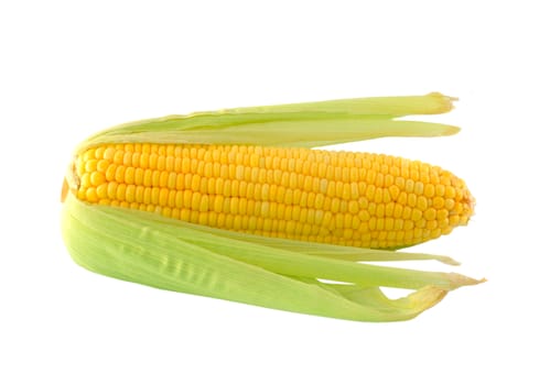 corn on a white background