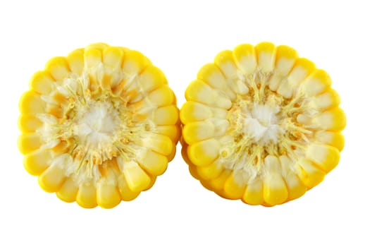 corn on a white background