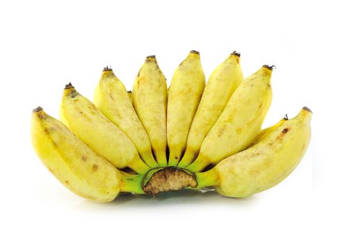 Cultivated banana ripe