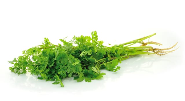 Fresh organic raw coriander leaf isolated on white background. Culinary aromatic herb.