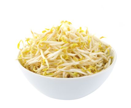 Bean Sprouts in the white bowl