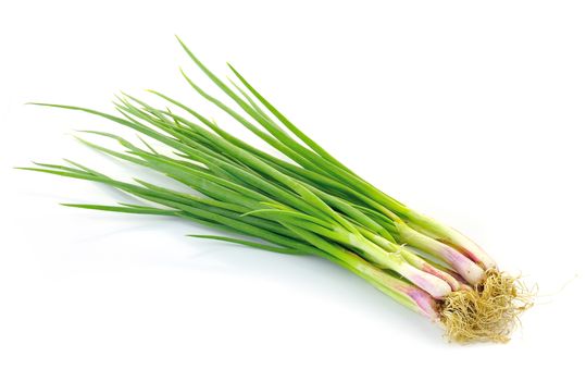 beautiful spring onions on a white background.