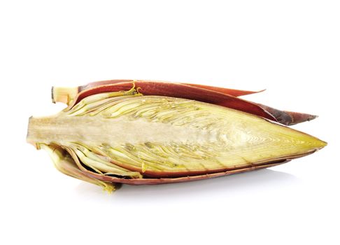 banana blossom on white background