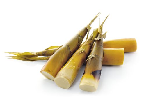 Bamboo shoot on white background