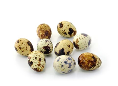  quail eggs on white background