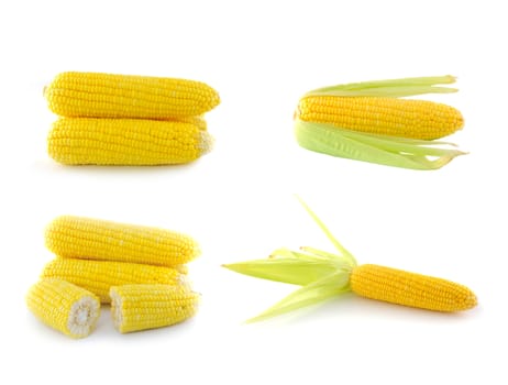 corn on a white background