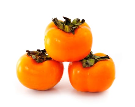 persimmon