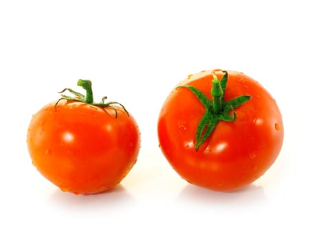 tomato