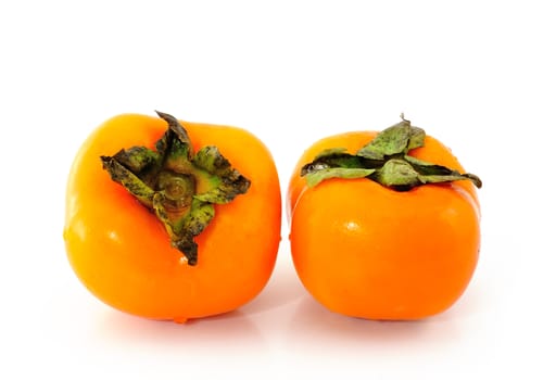 persimmon