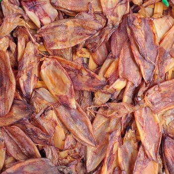 Squid drying