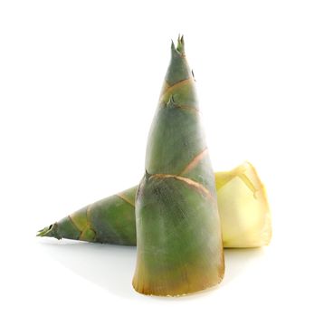 Bamboo shoot on white background