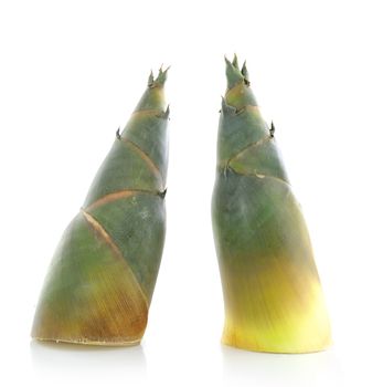 Bamboo shoot on white background