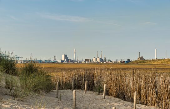 the contrast between the dunes the beginning of the beach and the oil and chemical activity of the industrial zone of rotterdam europoort