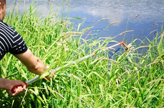 Take samples of water for laboratory testing. The concept - analysis of water purity, environment, ecology