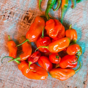 Colorful organic red paprika being sold at local food market.