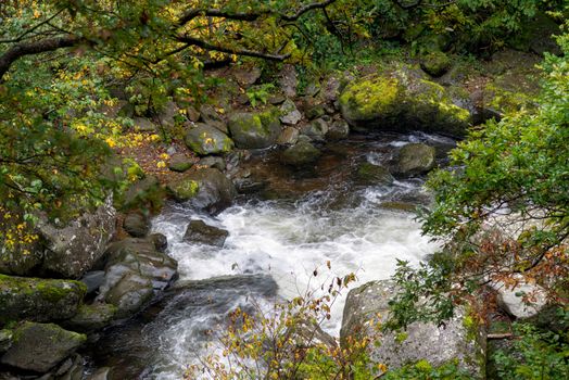 View of the East Lyn River