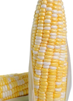 corn on white background