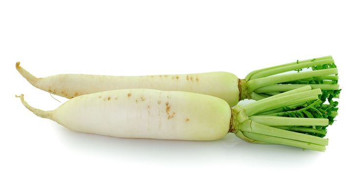 Daikon radishes isolated on white background